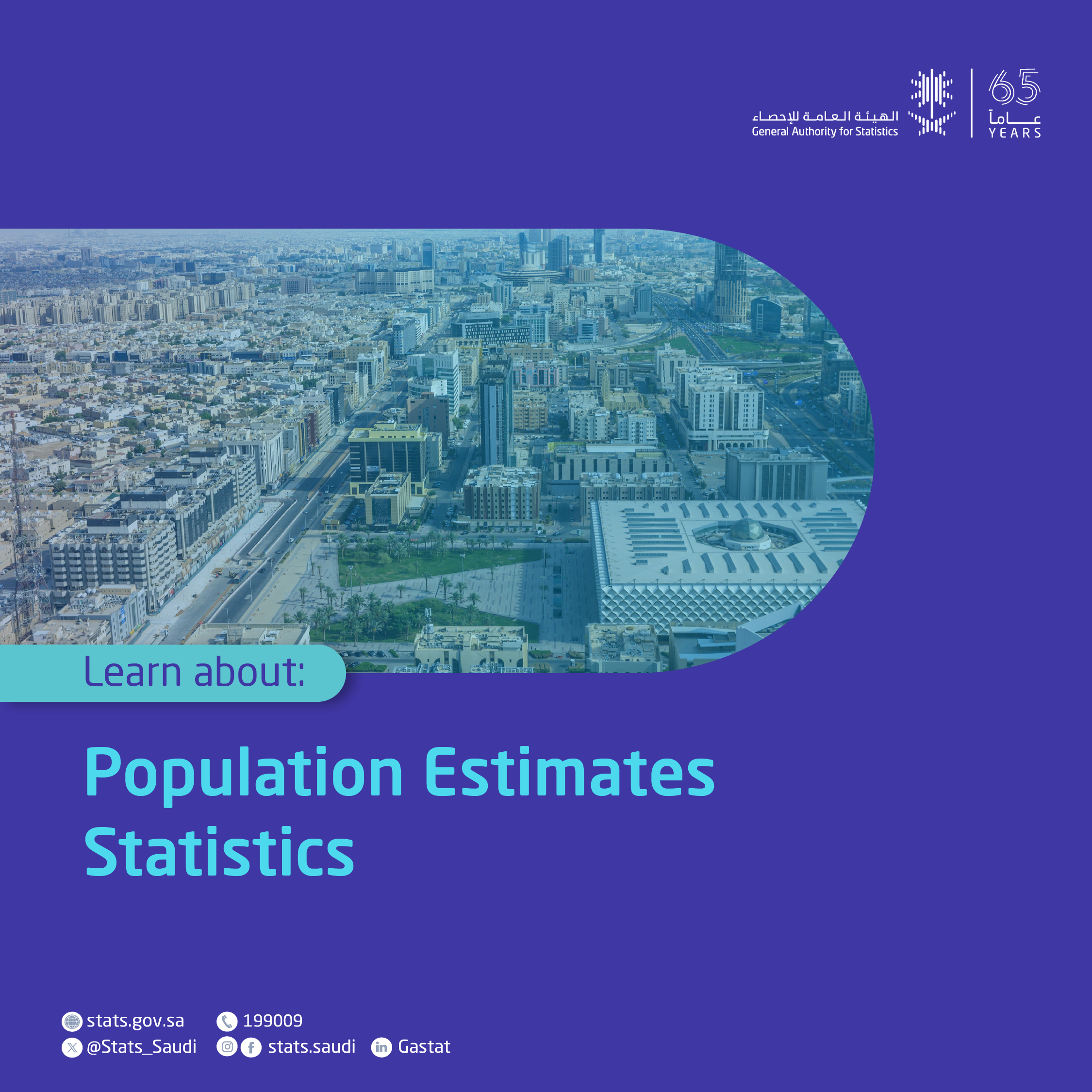 Population Estimates Statistics