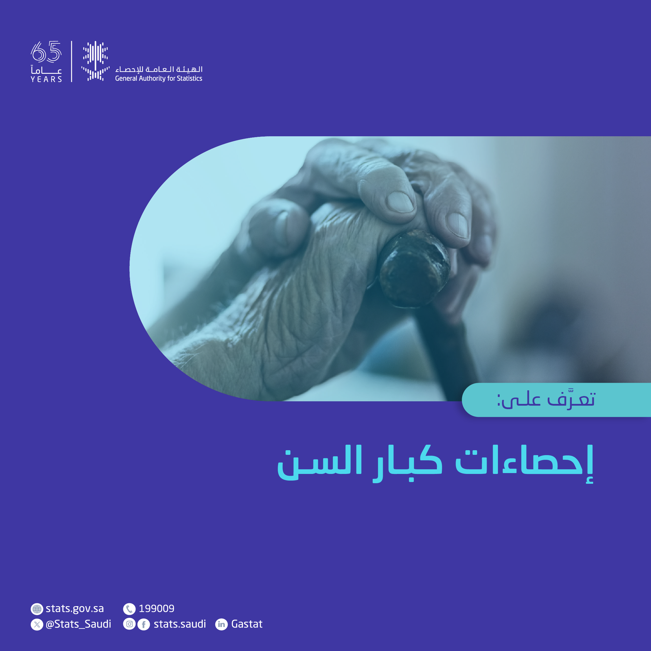 إحصاءات كبار السن