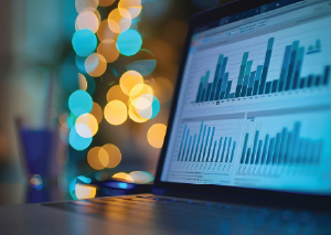 Statistical Database