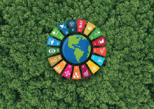 Sustainable Development 2030