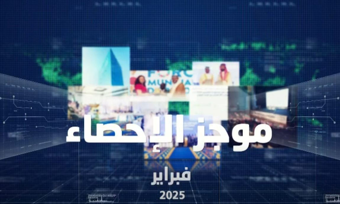 الهيئة العامة للإحصاء في فبراير 2025م