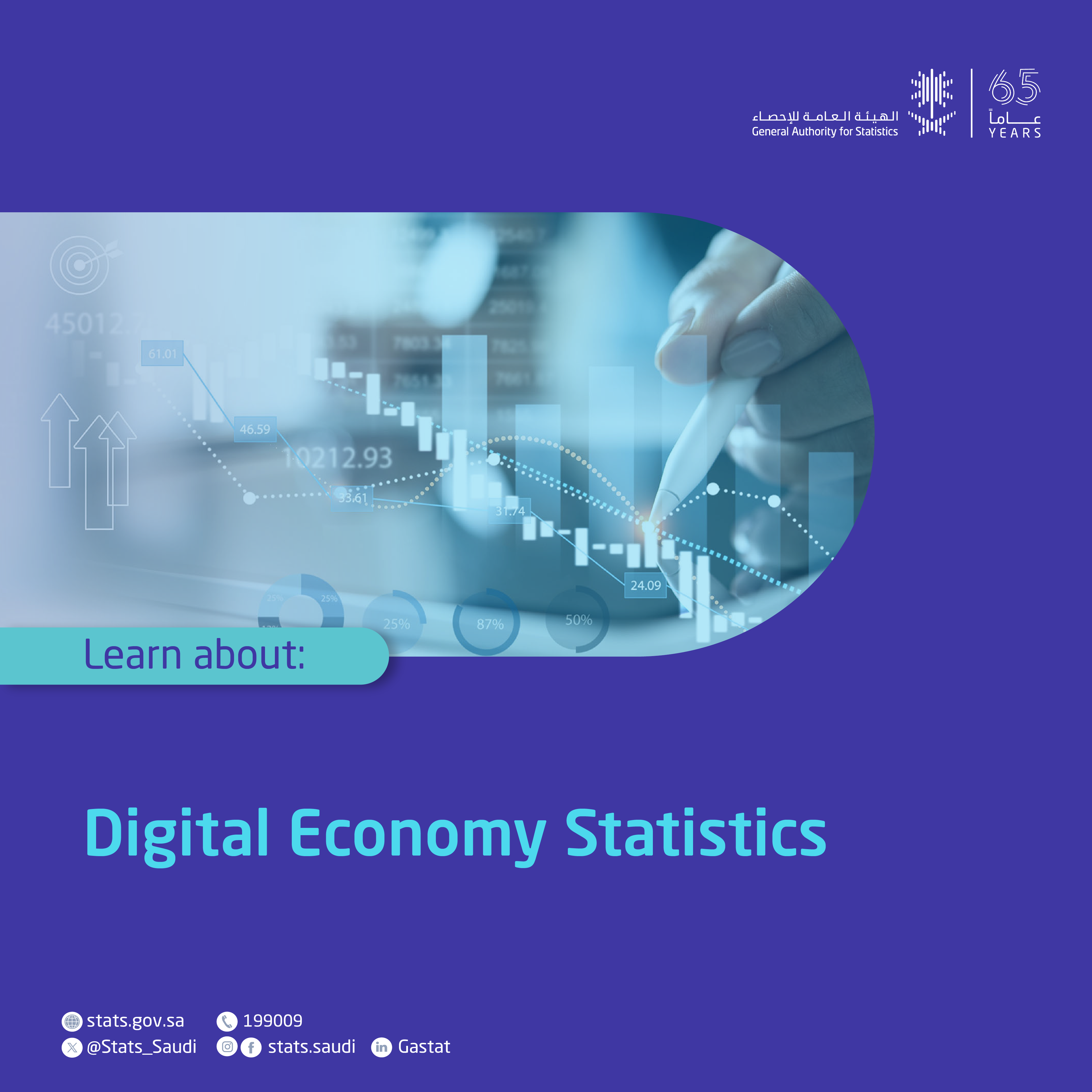 Digital Economy Statistics