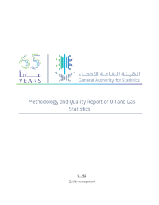 Methodology and Quality Report for Electricity Statistics 2025 EN.pdf صورة مصغّرة