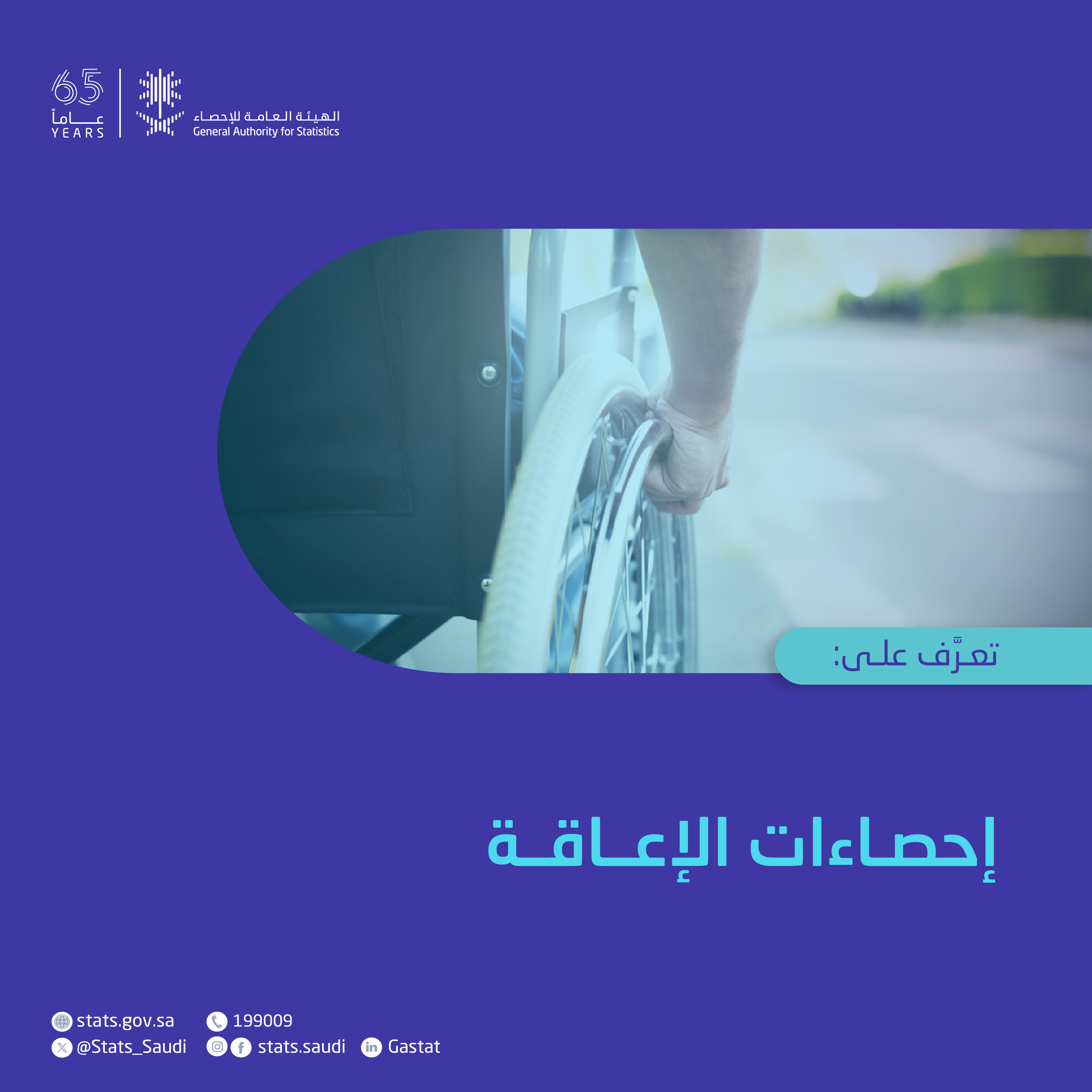 إحصاءات الإعاقة
