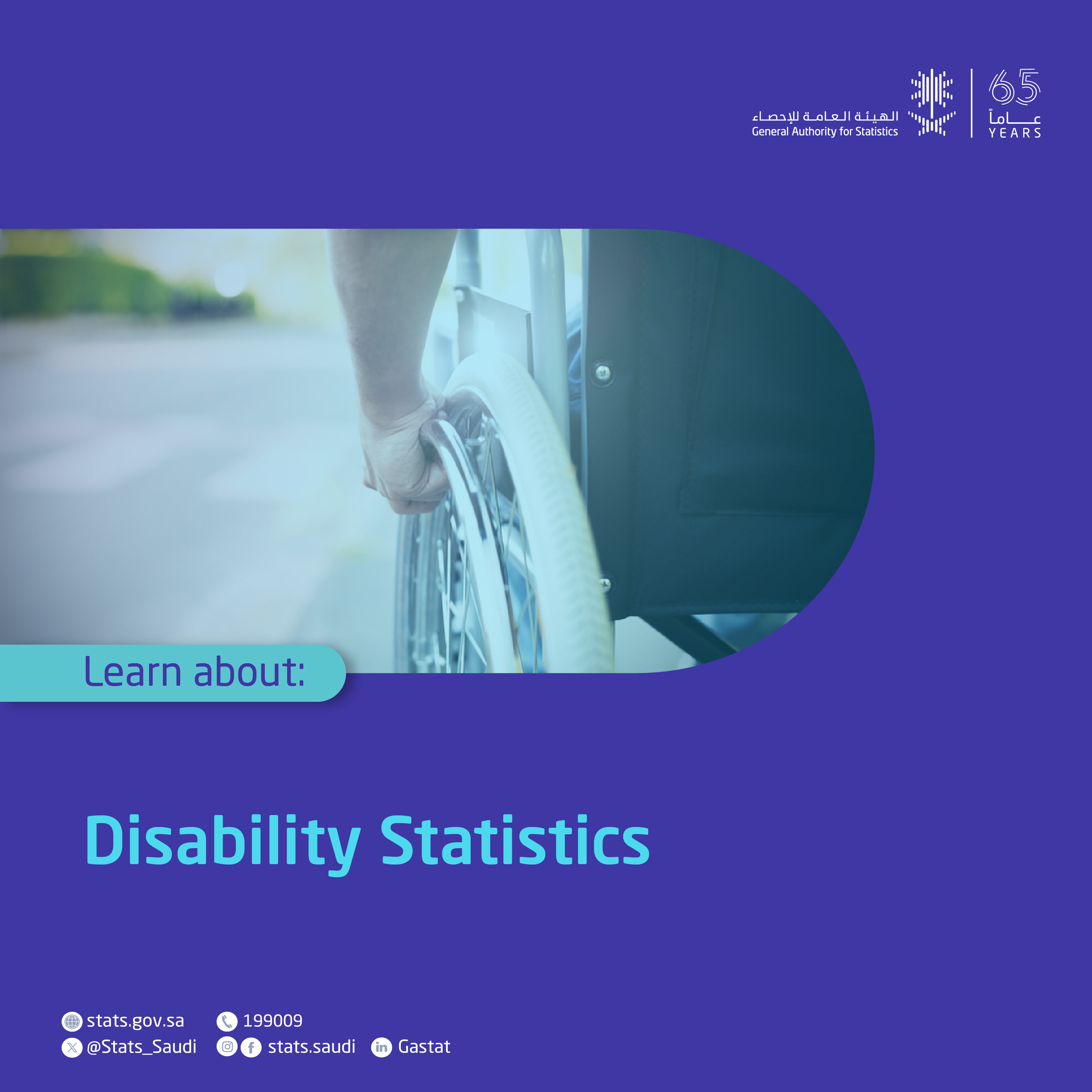 Disability Statistics