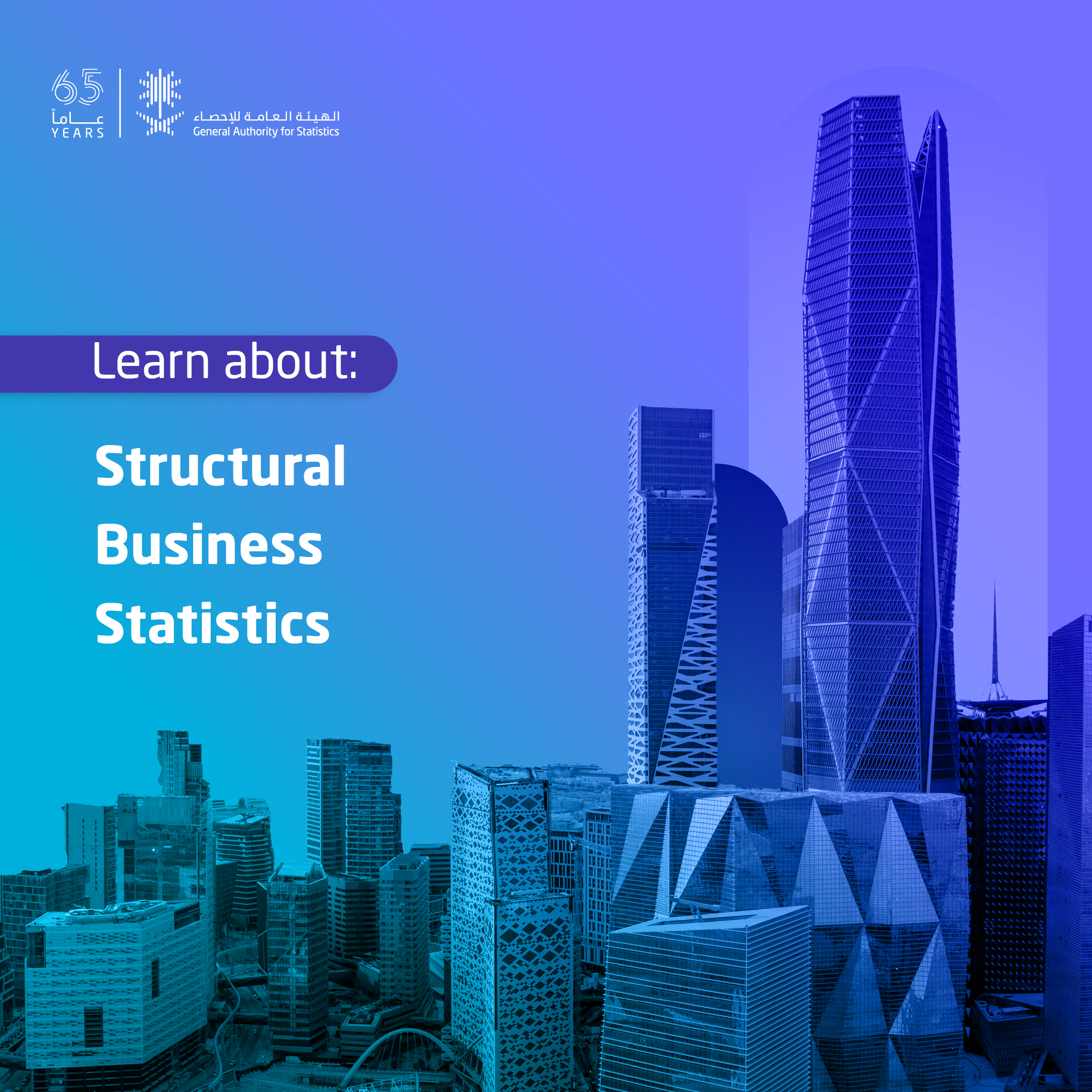 Structural Business Statistics