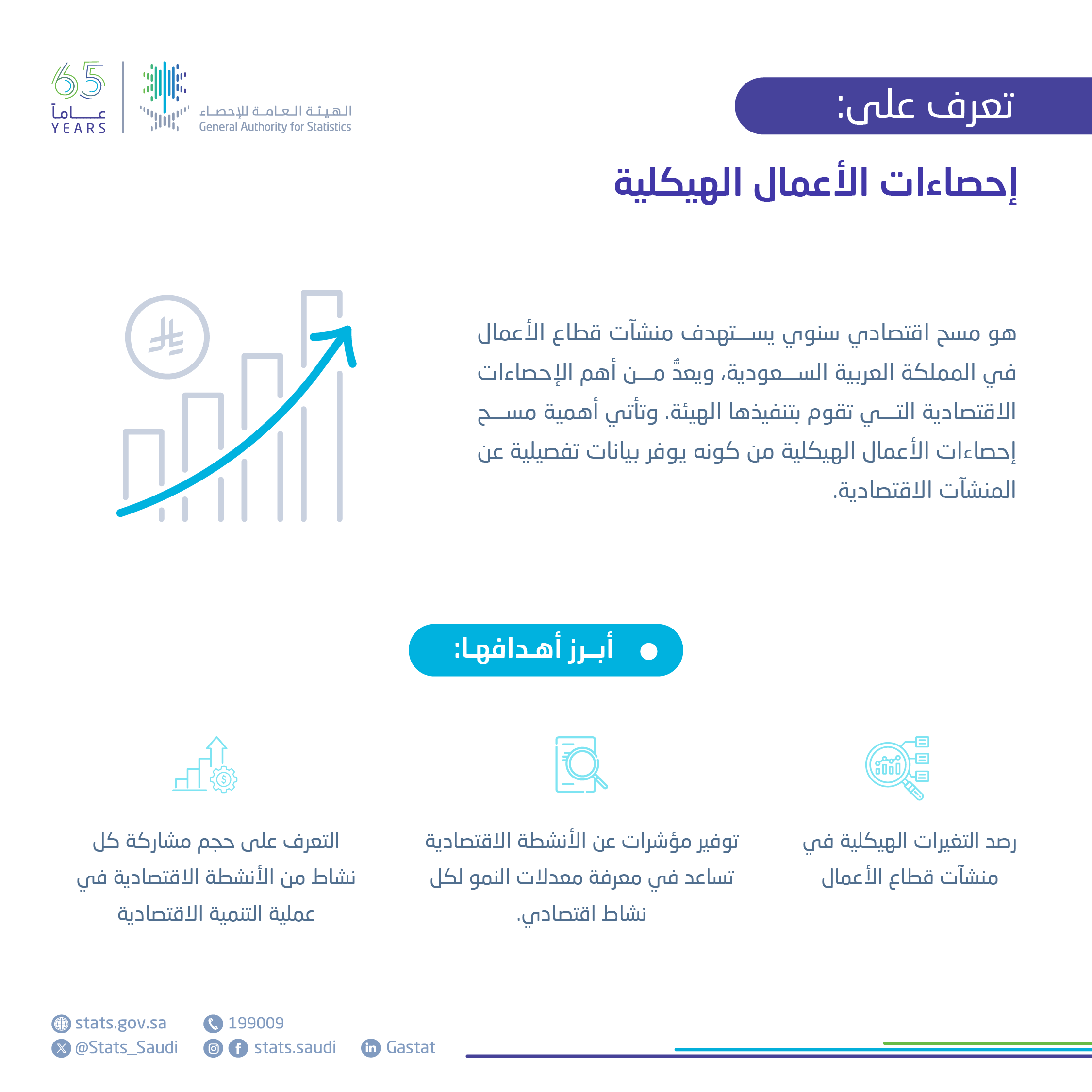 إحصاءات الأعمال الهيكلية
