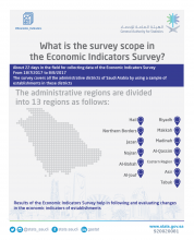 What is the survey scope in the Economic Indicators Survey? 