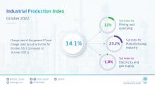 Industrial Production Index Increases by 14.1 % in October 2022 